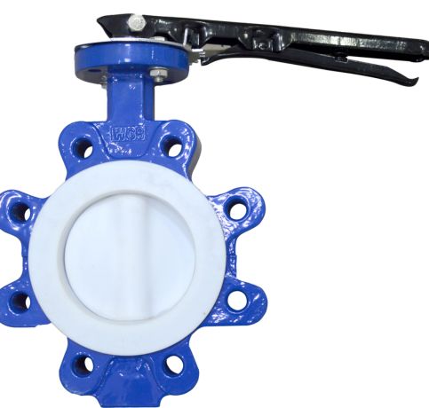 MS PTFE Butterfly Valve in Hyderabad